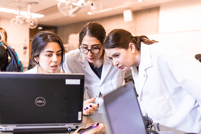 Scientists collaberate while working at a computer